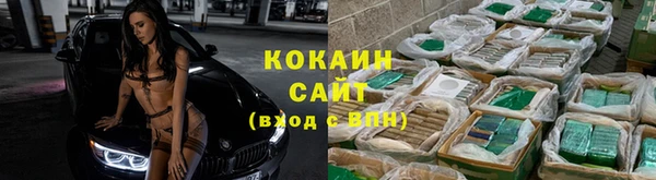 дмт Алзамай