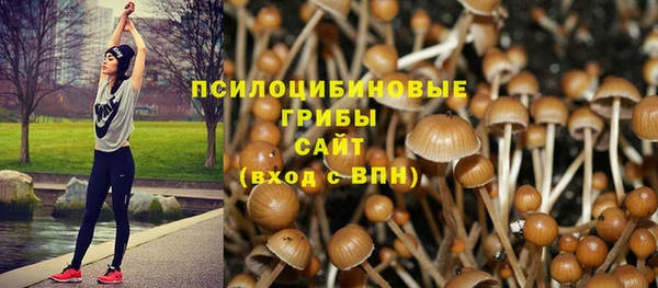 дмт Алзамай