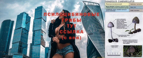 дмт Алзамай