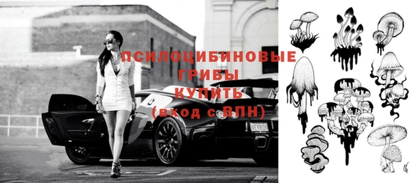 дмт Алзамай