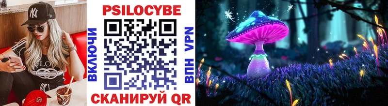 Галлюциногенные грибы Psilocybine cubensis купить наркоту Саки