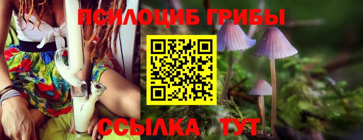 Псилоцибиновые грибы Magic Shrooms Саки