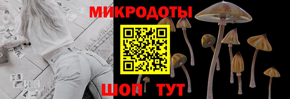 Саки  Галлюциногенные грибы Psilocybe  Вход с VPN 